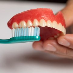 Close-up of dentures in Naples, FL being brushed